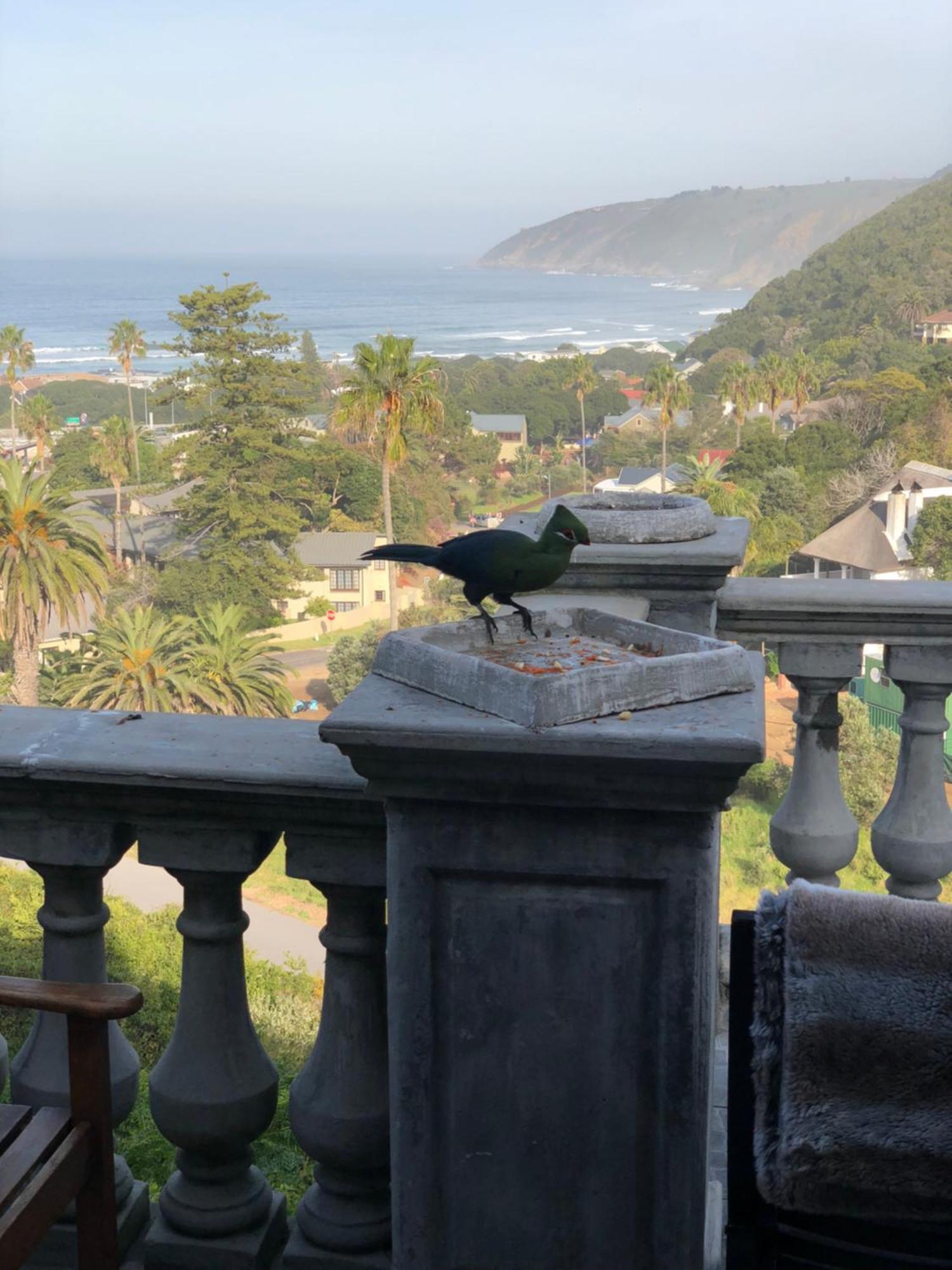 Livingstone Villa Wildernis Kültér fotó